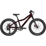 BERGAMONSTER 20" PLUS