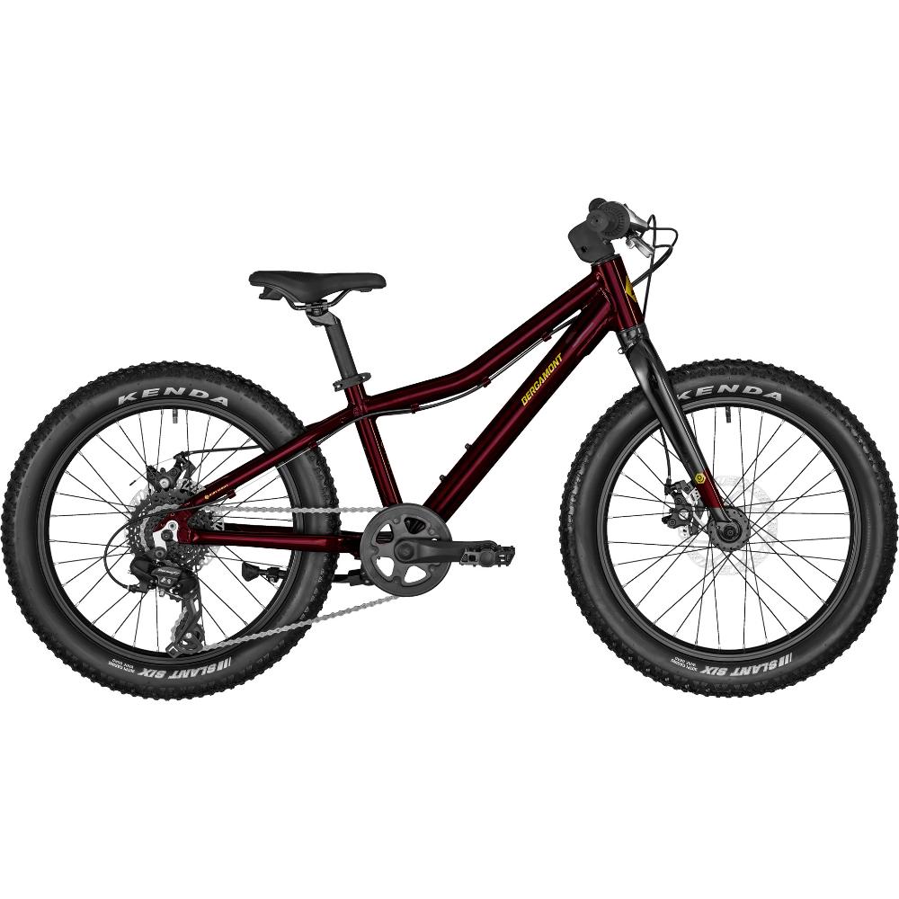 286850-1 BERGAMONSTER 20" PLUS - Slika 1
