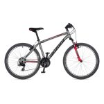 BICIKL AUTHOR OUTSET 17"  SILVER MATT/RED