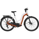 BICIKL E-HORIZON EDITION LTD AMSTERDAM